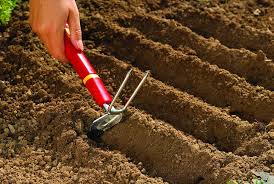 Wolf Garten 5cm Double Hoe, LL-M