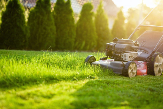 A Guide to select Best Lawn Mower for your Garden