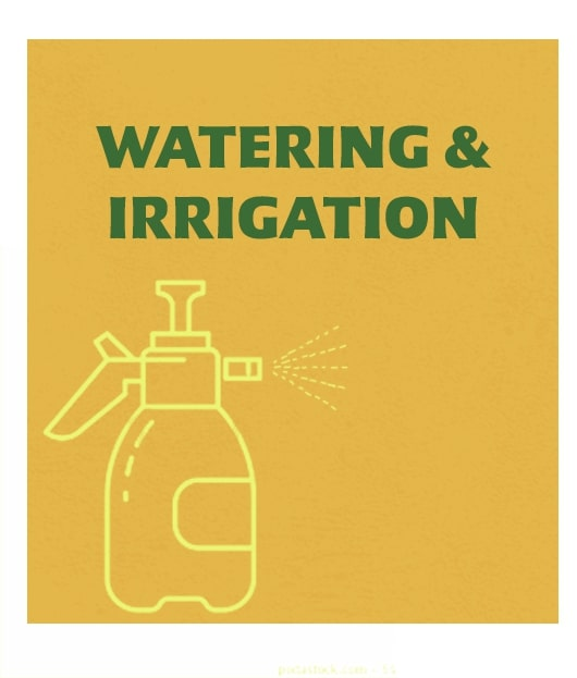 Watering & Irrigation