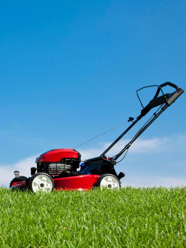 Lawn Care Machineries