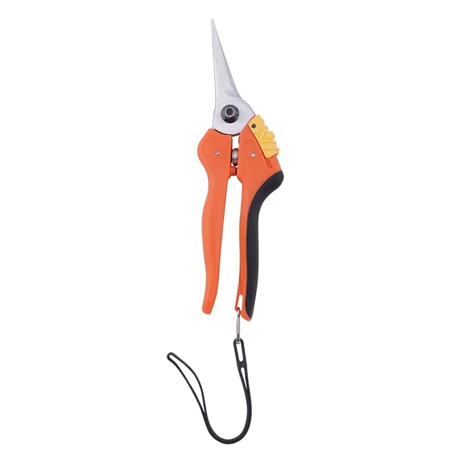 Falcon Premium Secateur FPS-212 - Precision Pruning for Garden Enthusiasts