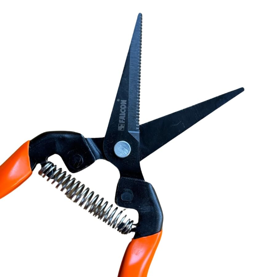 Falcon Fruit Pruner : Precision Pruning for Garden Enthusiasts | FBT- 45