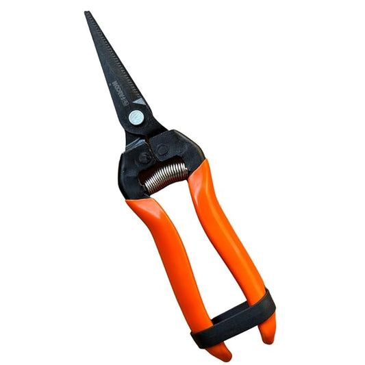 Falcon Fruit Pruner : Precision Pruning for Garden Enthusiasts | FBT- 45