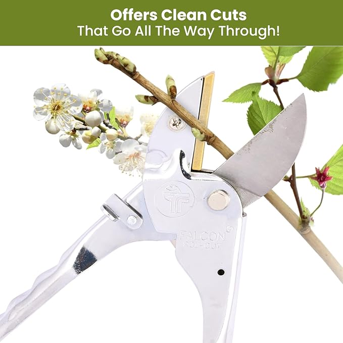 Falcon Pruning Secateur - Precision Cutting for Garden and Horticulture