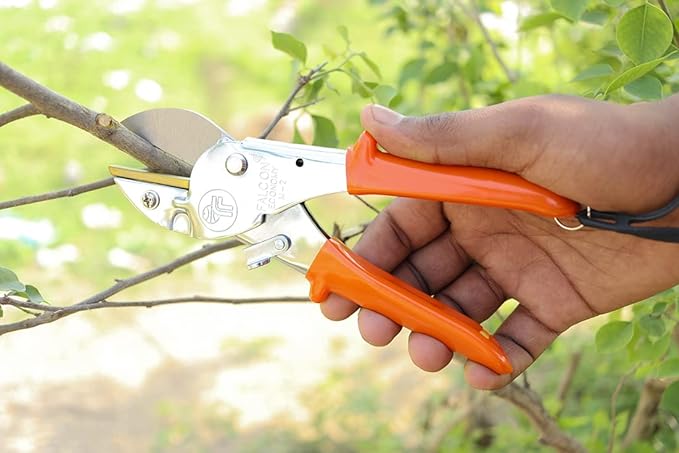 Falcon Secateur ECONOMY-M2 | Precision Pruning Garden Secateur with Safety Lock