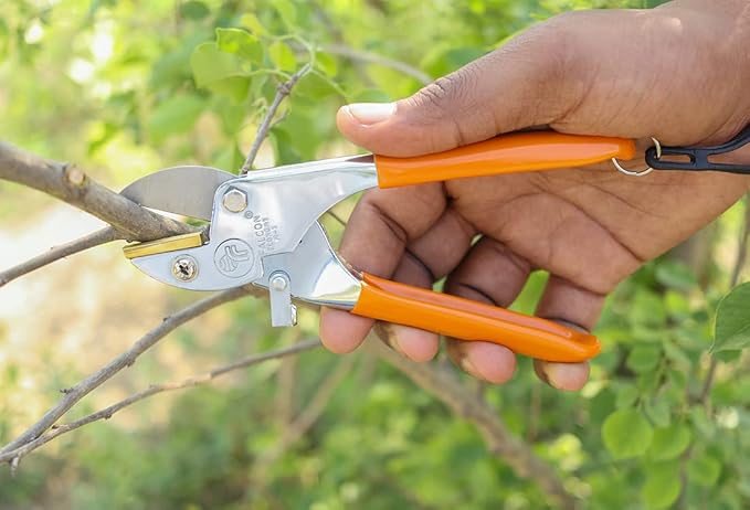 Falcon Economy Pruning Secateur M3 - Budget-Friendly Garden Essential