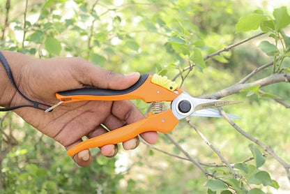 Falcon Premium Secateur FPS-212 - Precision Pruning for Garden Enthusiasts