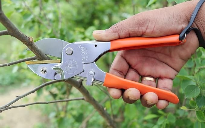 Falcon Pruning Secateur Super - Reliable and Efficient Pruning Tool