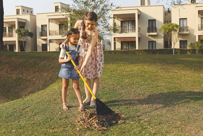 Leaf rake collector