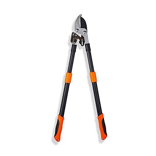 Ratchet Anvil Lopper with Telescopic Handles — Compound Action Branch Cutter for Tree, Hedge & Garden Pruning