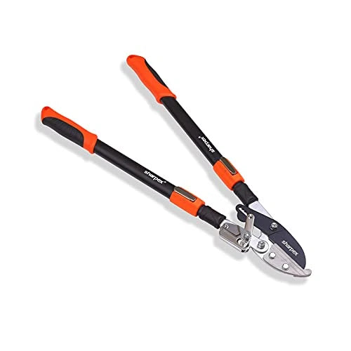 Ratchet Anvil Lopper with Telescopic Handles — Compound Action Branch Cutter for Tree, Hedge & Garden Pruning