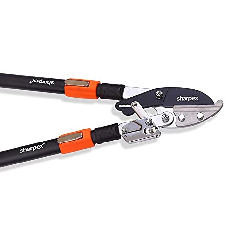 Ratchet Anvil Lopper with Telescopic Handles — Compound Action Branch Cutter for Tree, Hedge & Garden Pruning
