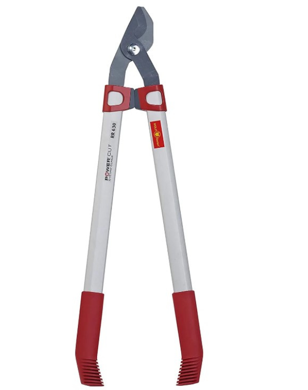 tree loppers
