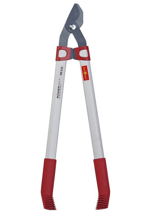 tree loppers