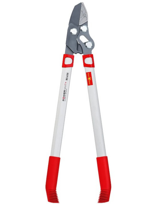 tree loppers