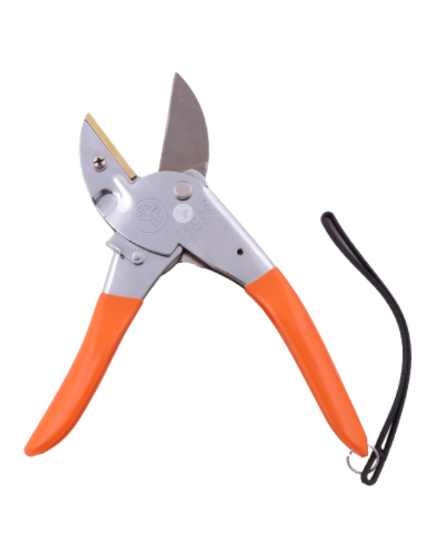 secateurs